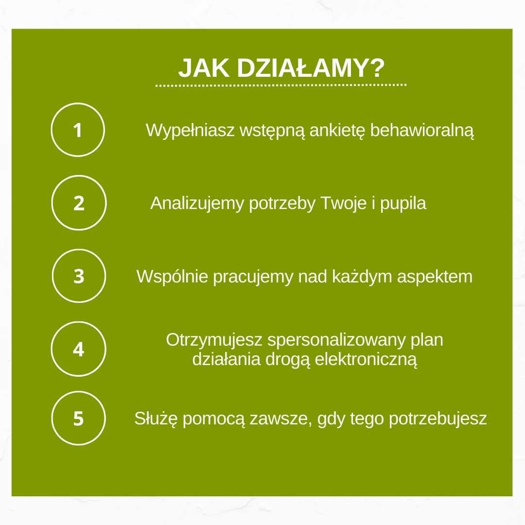 Behawiorysta/ Trener psów / Zoopsycholog / Spotkania socjalizacyjne