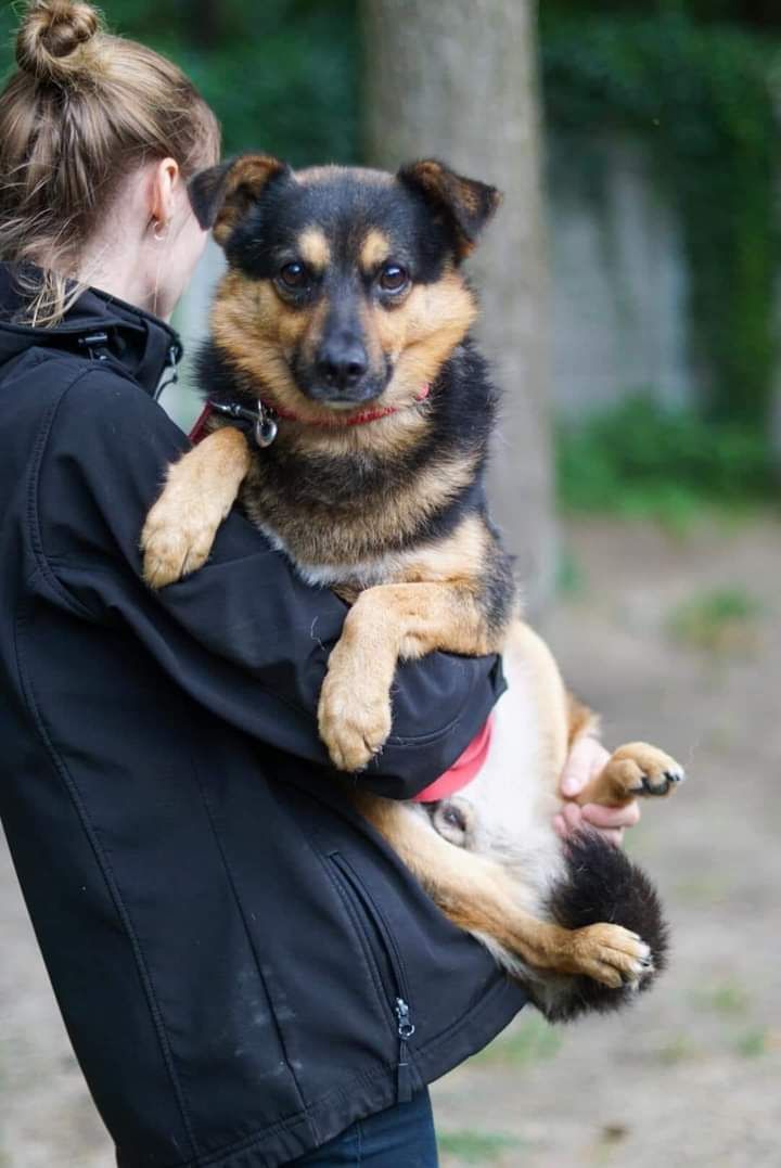 Kochany Pan Miś szuka cudownego domku!