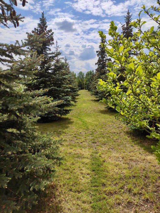 Оренда чудового будинку на березі річки,с.Вишеньки,сонячні батареї!
