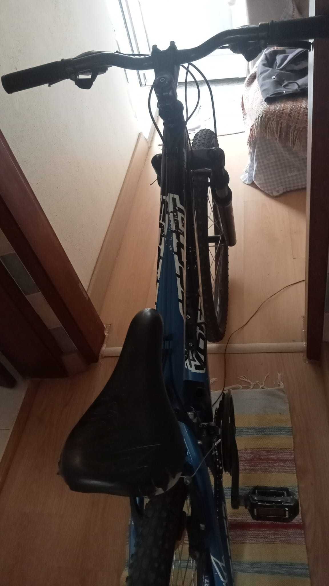 Bicicleta Tamanho Adulto