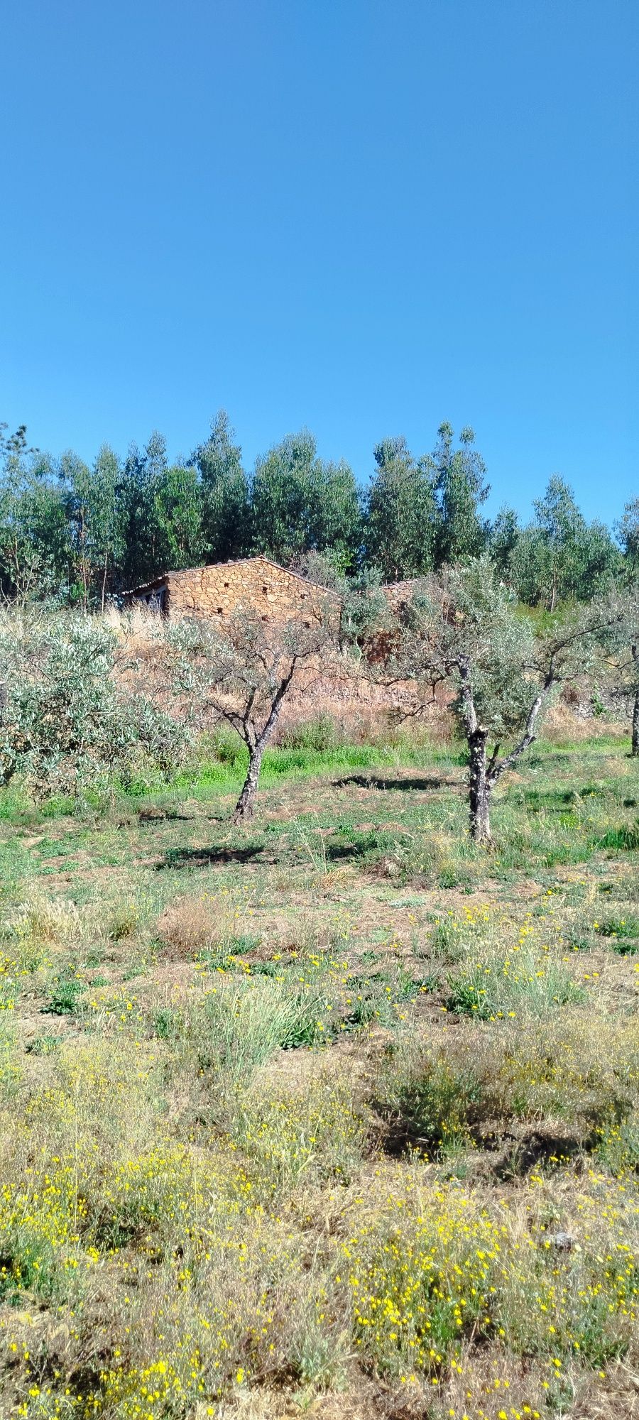 Quinta com duas casas em xisto