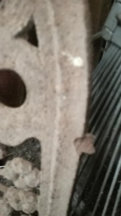 framuga ozdobna ponad 100 letnia żeliwna-wys.61cm,szer41cm.