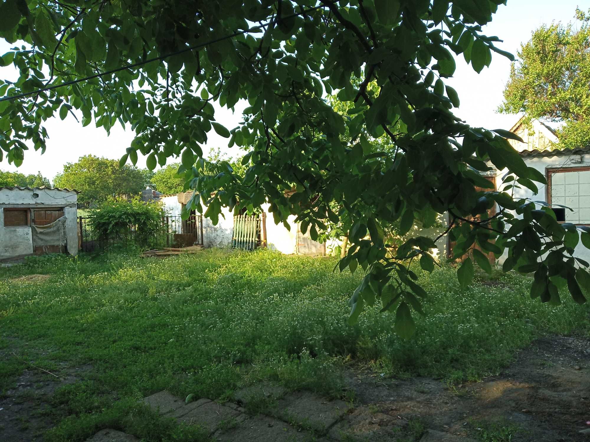 Будинок , Миколаївська область