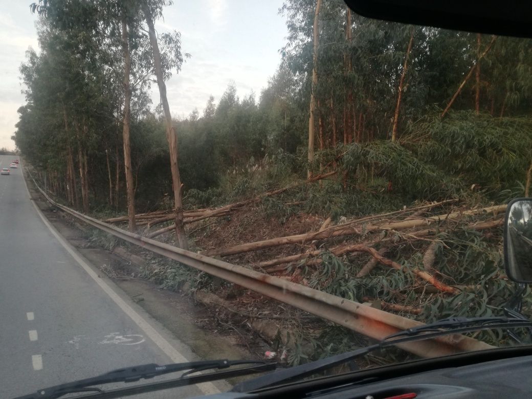 Limpeza de terrenos e Jardinagem