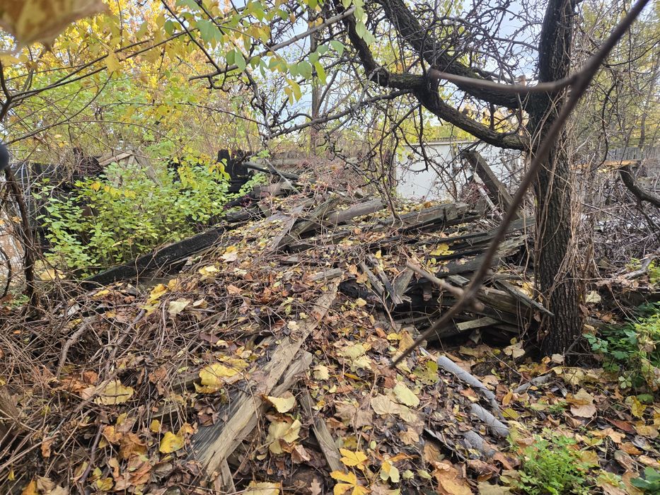 Дрова, Отдам даром, самовывоз