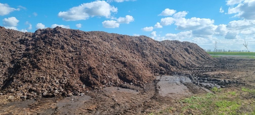 Podłoże Popieczarkowe, obornik,  biomasa . Dostępne od października