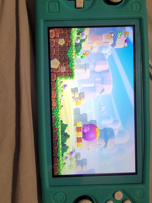 Switch Lite desbloqueado (usado)