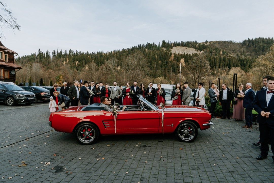 Ford Mustang 1966 cabrio wynajem do ślubu