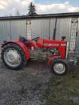 Massey Ferguson  MF 255 oryginał
