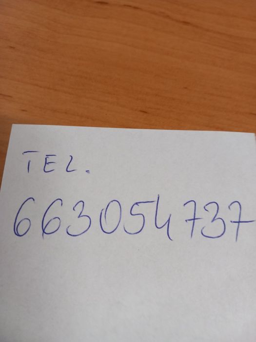 Sprzedam papugi nimfy