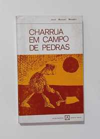 Charrua em Campo de Pedras - José Manuel Mendes