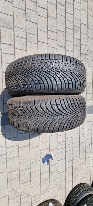 225/55/17 Opony wielosezonowe Sava AllWeather 2szt