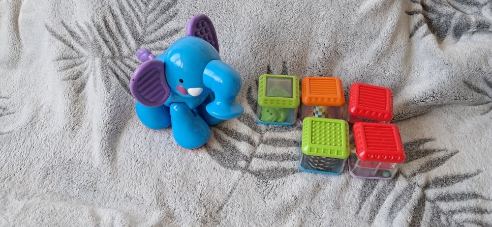 Sensoryczny słoń i kostki