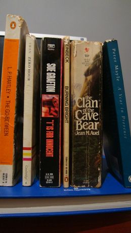The clan and the cave bear, Zero Hour (Swan)