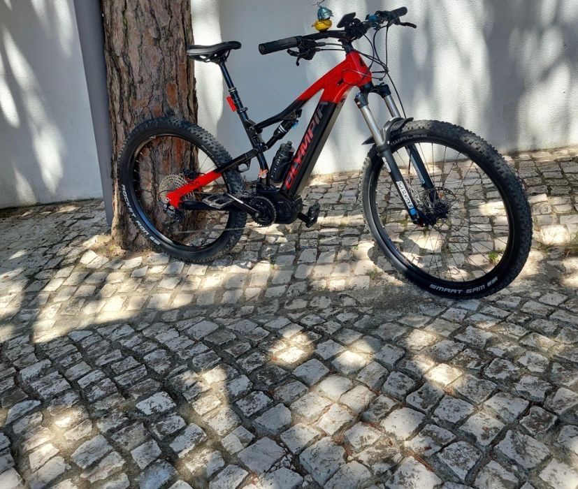 EBIKE OLYMPIA EX900