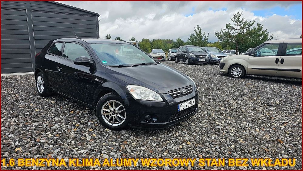 Kia ProCeed 2008 r 1.6 Klimatronik Alumy BARDZO ŁADNY Bez Wkładu Do Jazdy