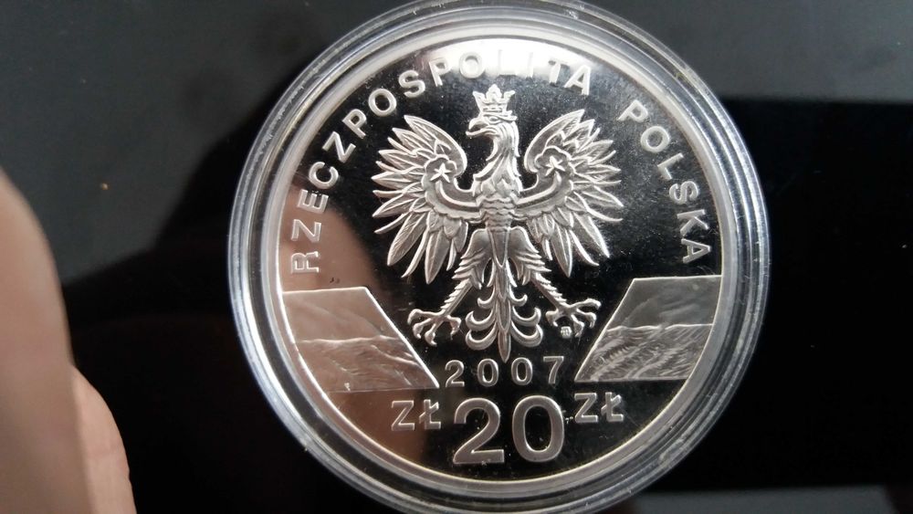 20zł   Foka Szara 2007r Srebro