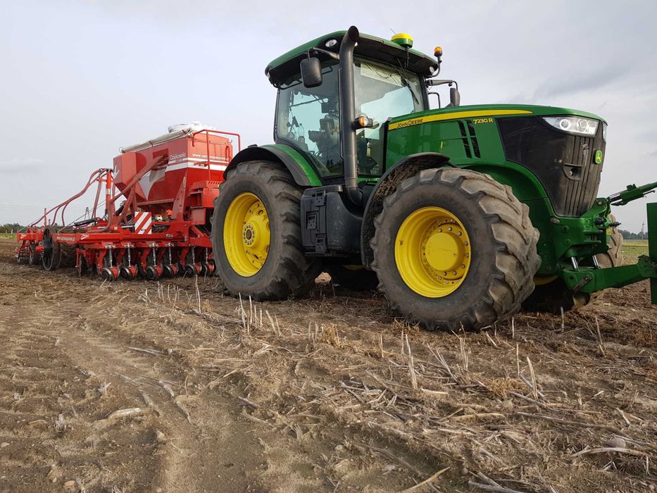 Usługi siewu rzepak.Siew pasowy Czajkowski ST600, strip-till