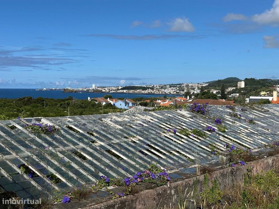 Fantástico Terreno no Livramento – Rosto de Cão