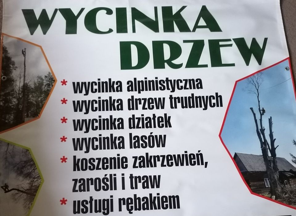 Wycinka drzew Alpinistycznie Profesjonalnie