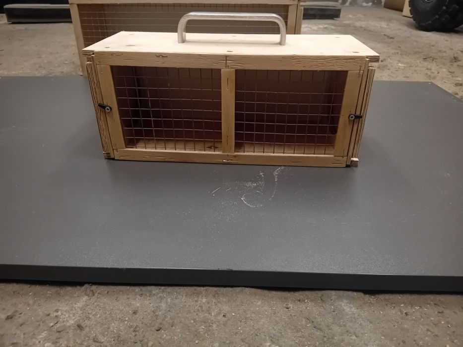 Transporter dla papug i ptaków egzotycznych