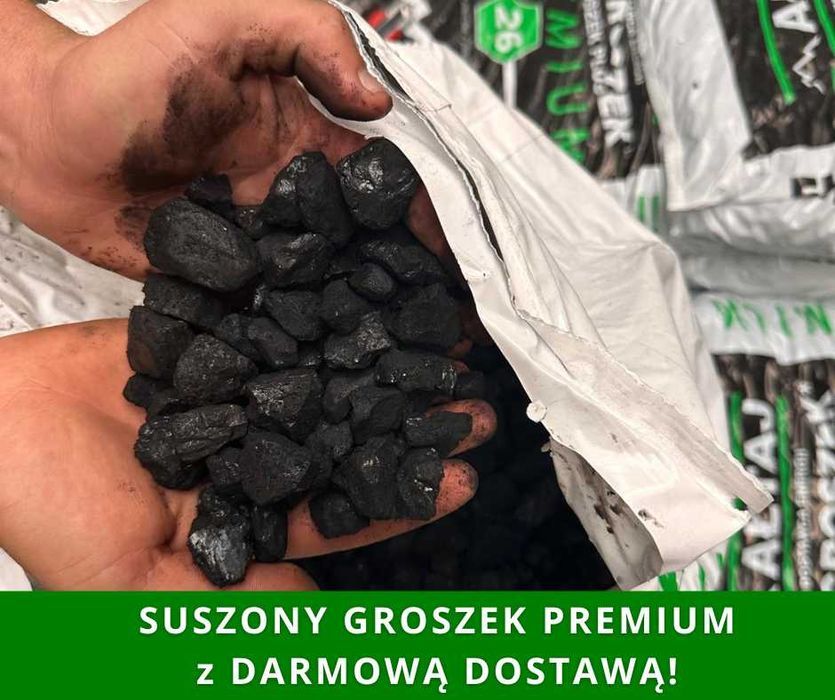 Groszek Ałtaj - Reda i okolice TRANSPORT GRATIS !