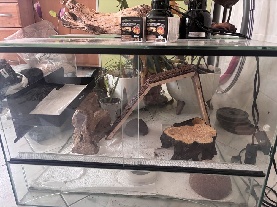 Terrarium 60x40 wraz z wyposażeniem