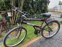 Rower firmy Speedent Quasar koła 26