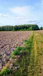 Działka budowlana 1000m2