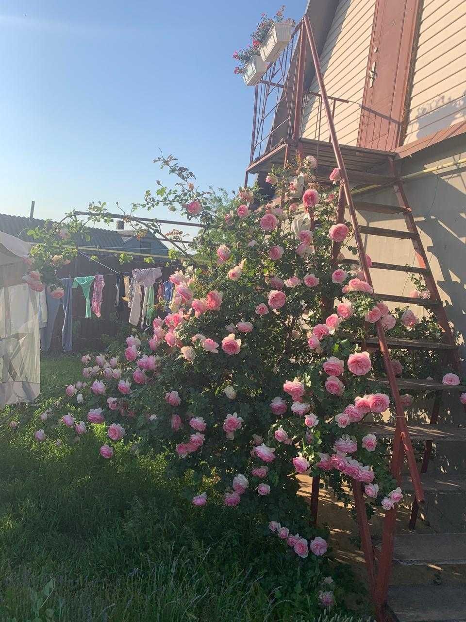 (13)  Продам затишний будинок в с.Велика Балка (Нерубайське).