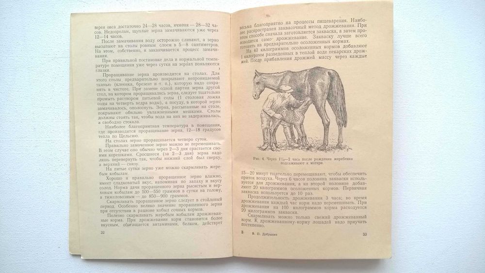 Выращивание жеребят. Добрынин В.П.