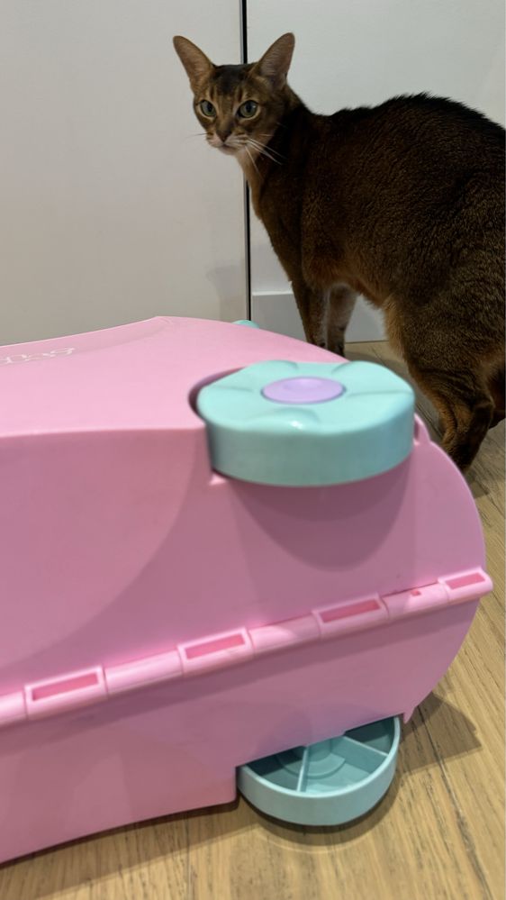 Валіза дитяча Trunki рожева. Детский розовый чемодан Trunki