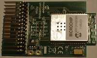 Moduł Wi-FI, Microchip, PICtail, daughter board