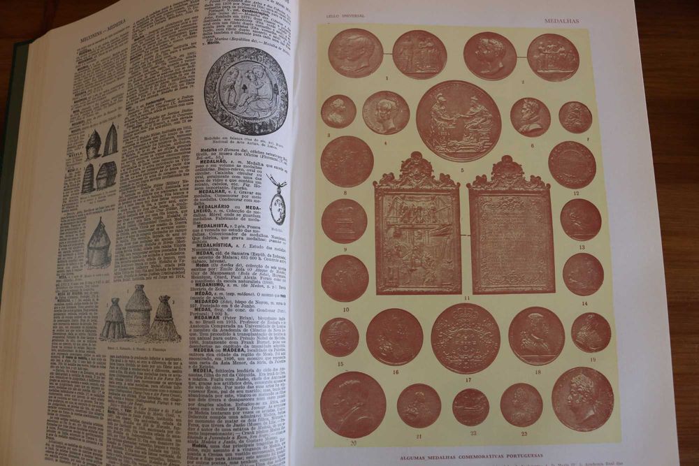 Dicionário ilustrado Lello Universal 2 volumes