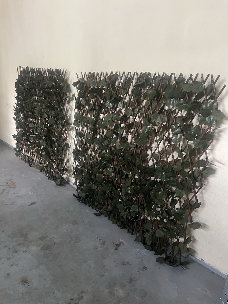Plantas decorativas extenciveis
