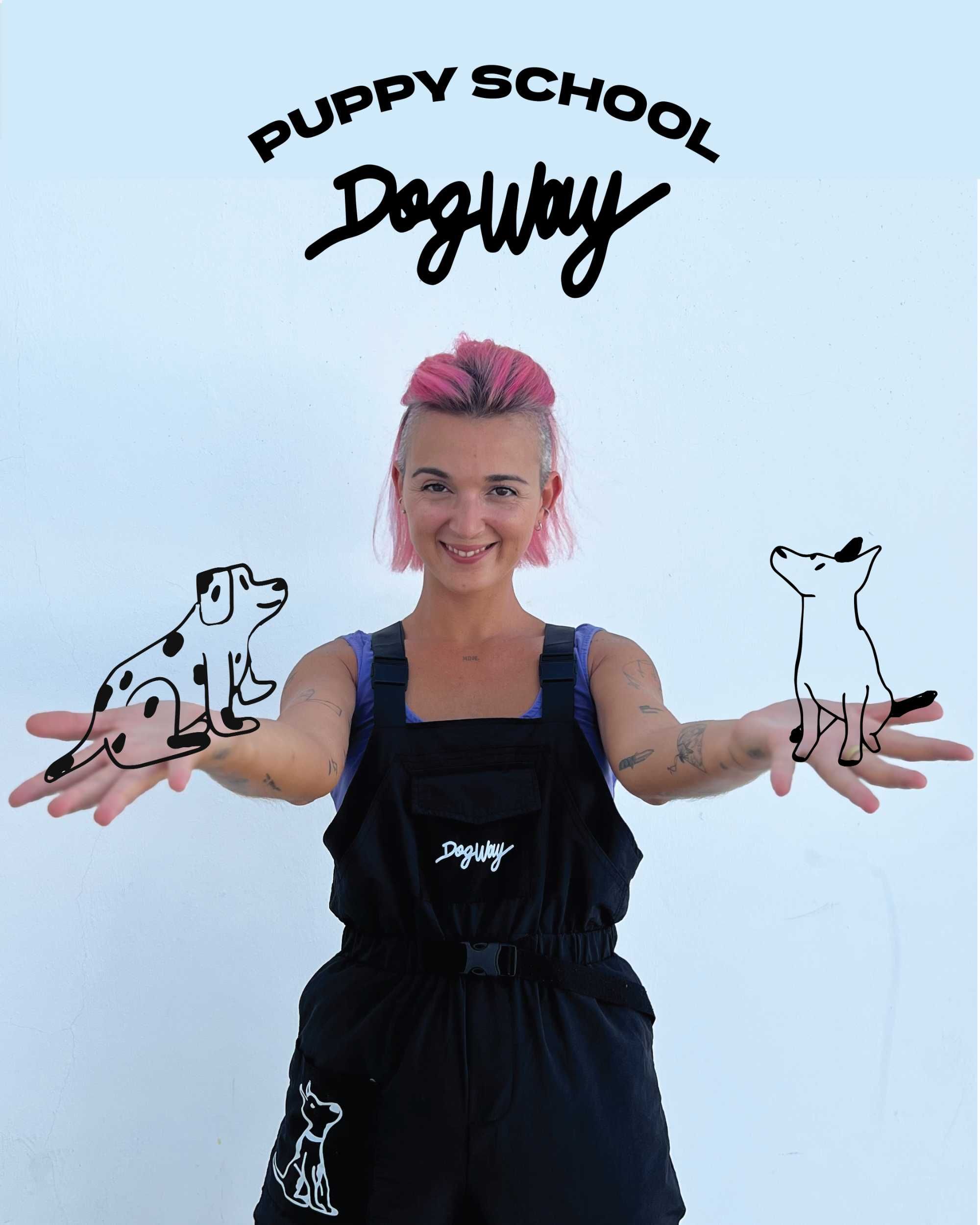 Treino de Cachorros com Métodos Positivos – DogWay