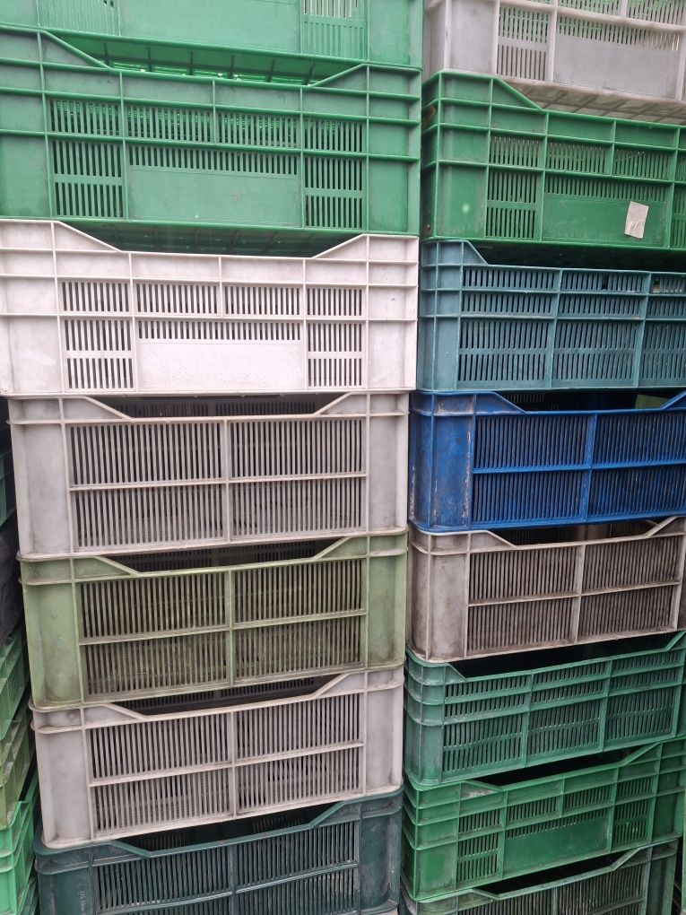 Skrzynki plastikowe mix 12kg