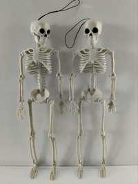 Активна модель людського скелета, анатомічна модель скелета, прикраса