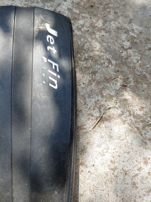 ласты прфессиональные