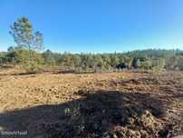 Terreno rustico com 16940m2-Sarnadas de Rodão