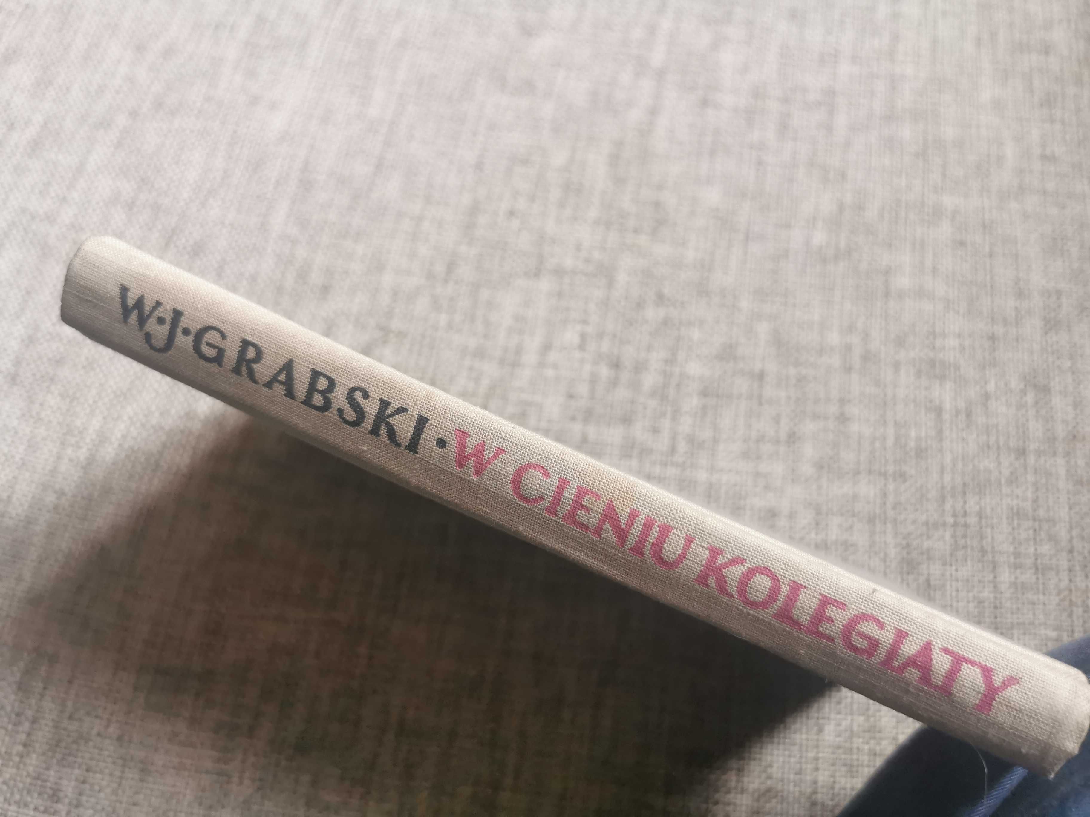 W Cieniu Kolegiaty - W. J Grabski