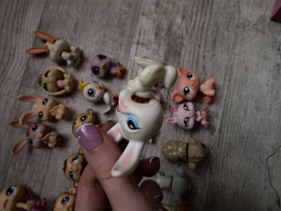 LPS Littlest pet shop zestaw