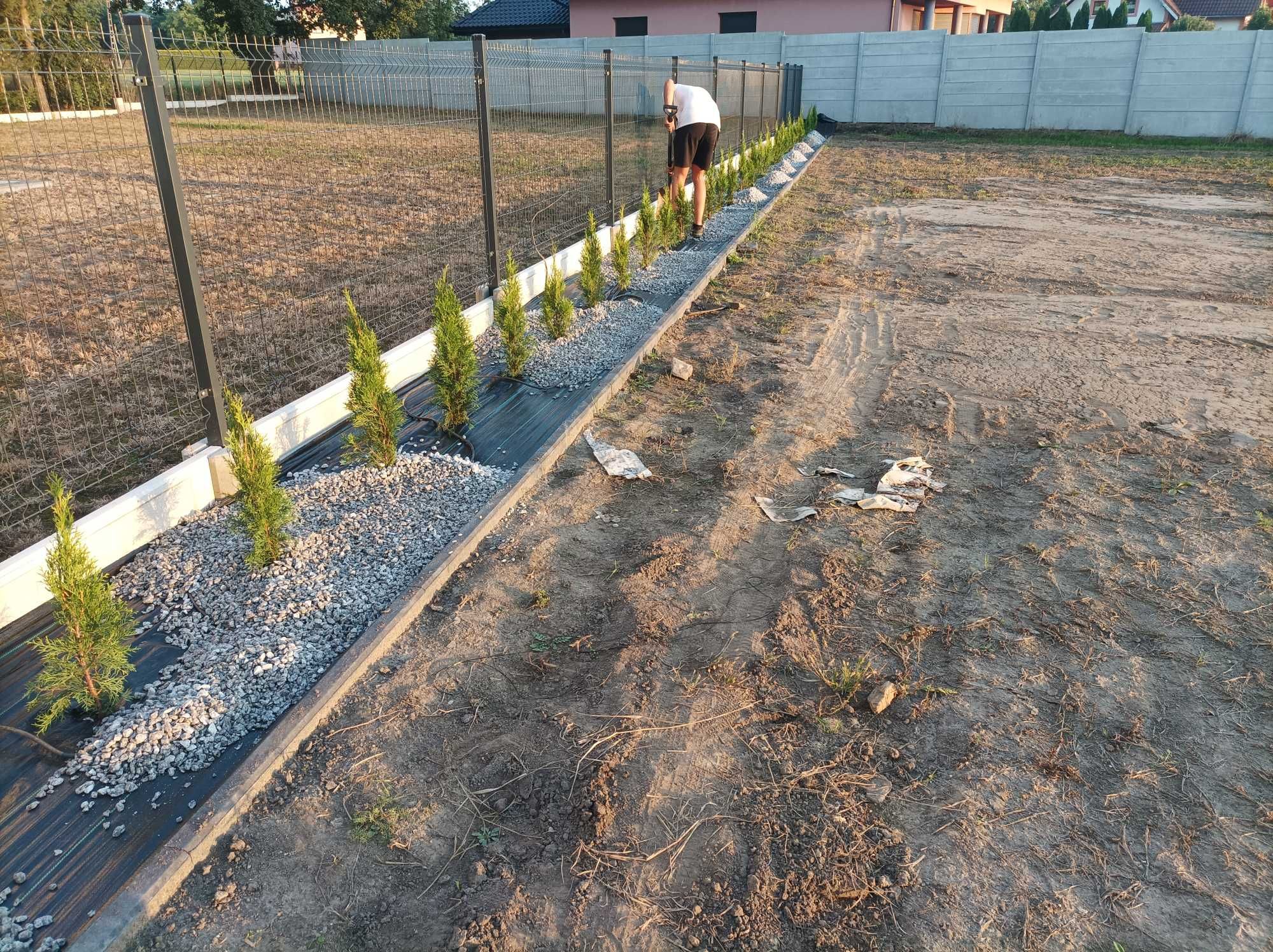 Glebogryzarka separacyjna zakładanie trawników usługi glebogryzarką