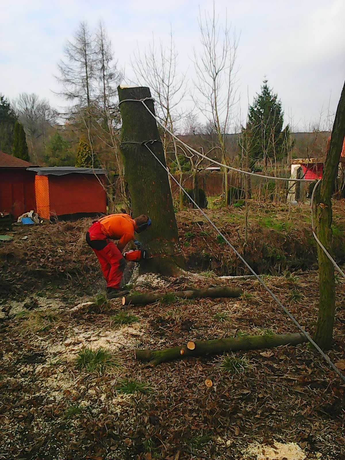 Sprzedam drewno na podpalke Suche GWARANCJIA