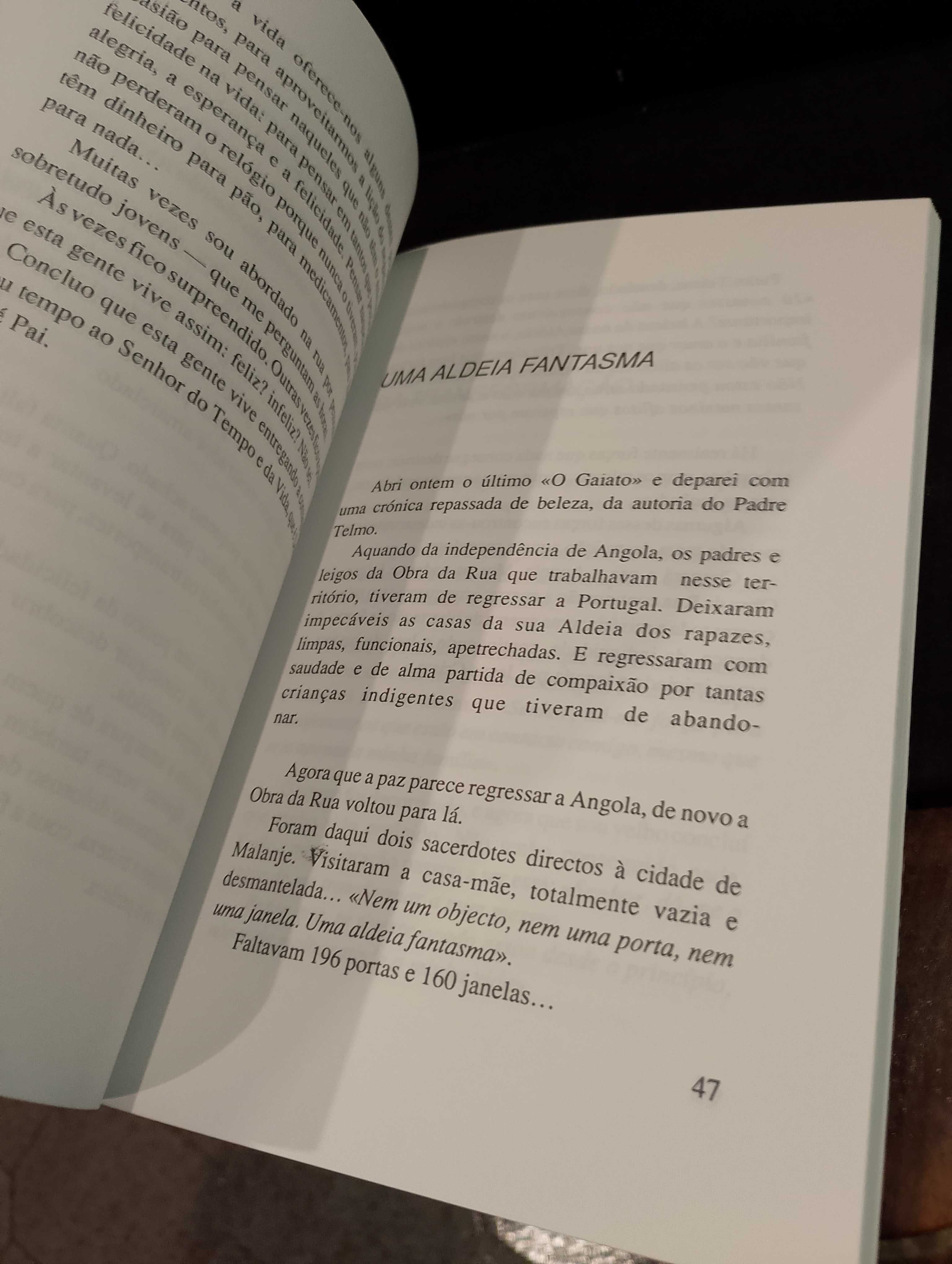 Caminhos de Felicidade - Mário Salgueirinho