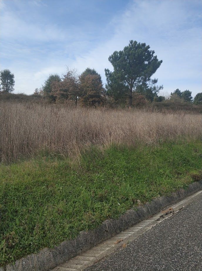 Terreno urbano  Caldas da Rainha