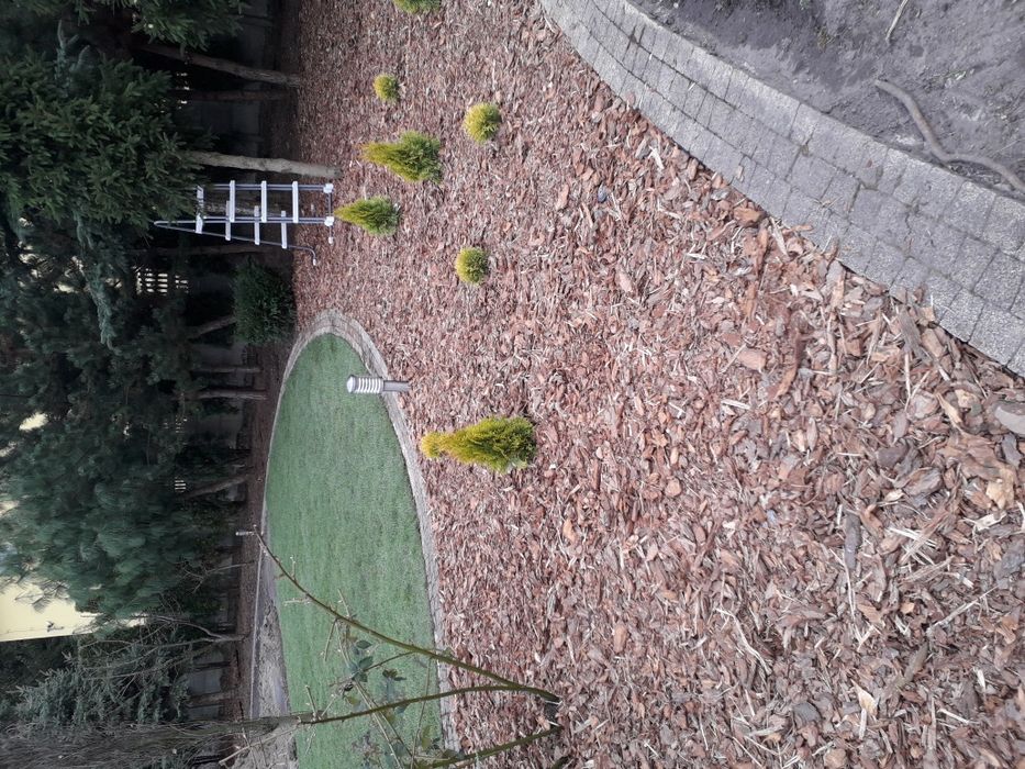 Kora sosnowa do ogrodu