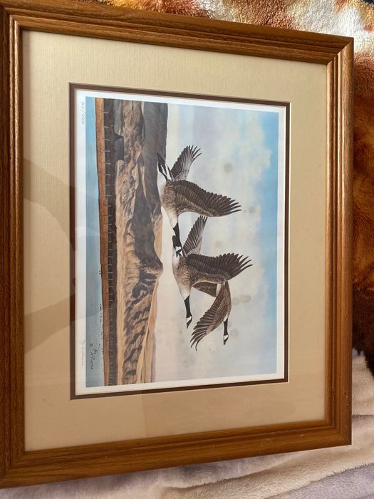 Collection quadros