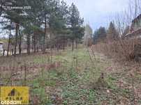 Spokojna przystań pod lasem – Olsztyn k. Częstocho