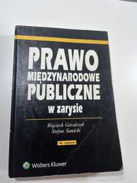 Prawo międzynarodowe publiczne w zarysie